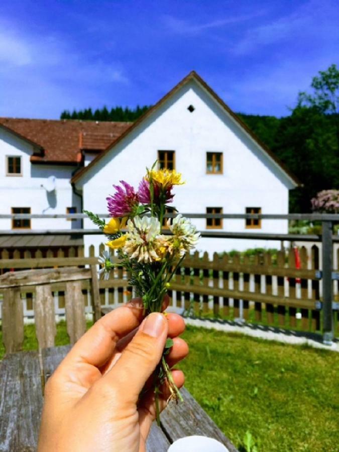 Einkehrhof Poggau Reinsberg Exterior foto